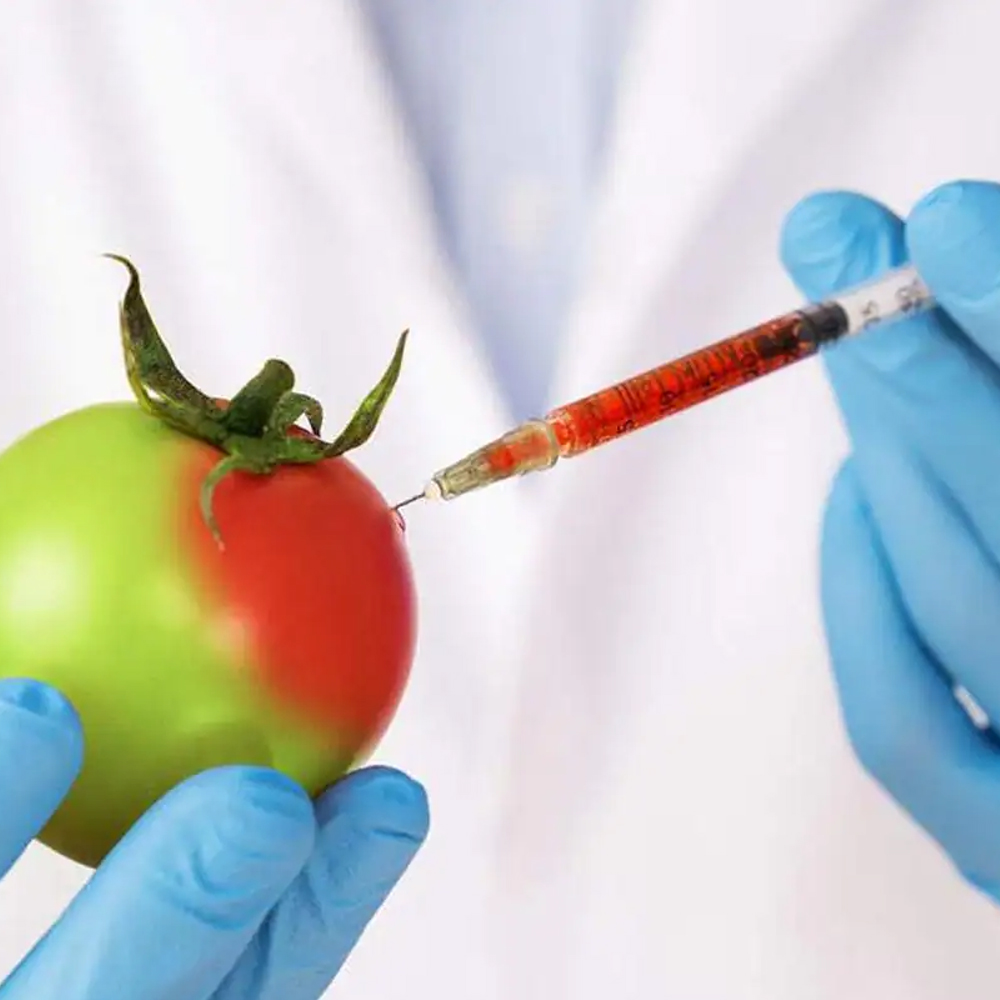IPR In Food Biotechnology
