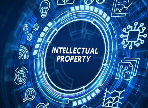 Understanding the Basics of Intellectual Property Rights