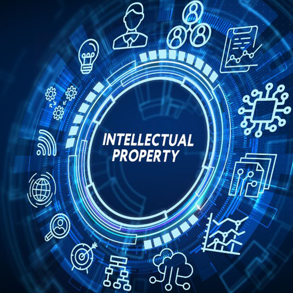 Understanding the Basics of Intellectual Property Rights